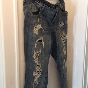 Torrid jeans
